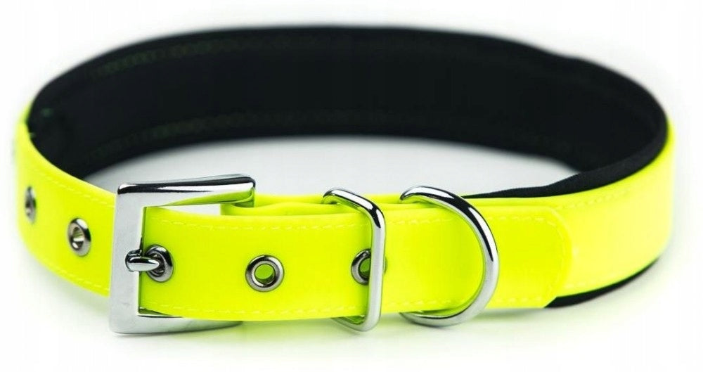 Neoprene Lined Dog Collar - Yellow L