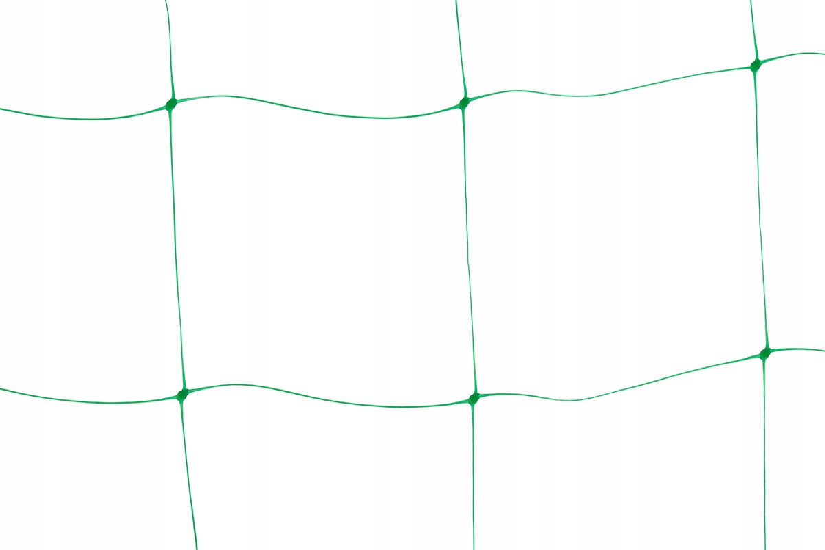 Net Vegetable support climbing plants 2x10m 15x17cm AS-CN08151720010 Length 10 m