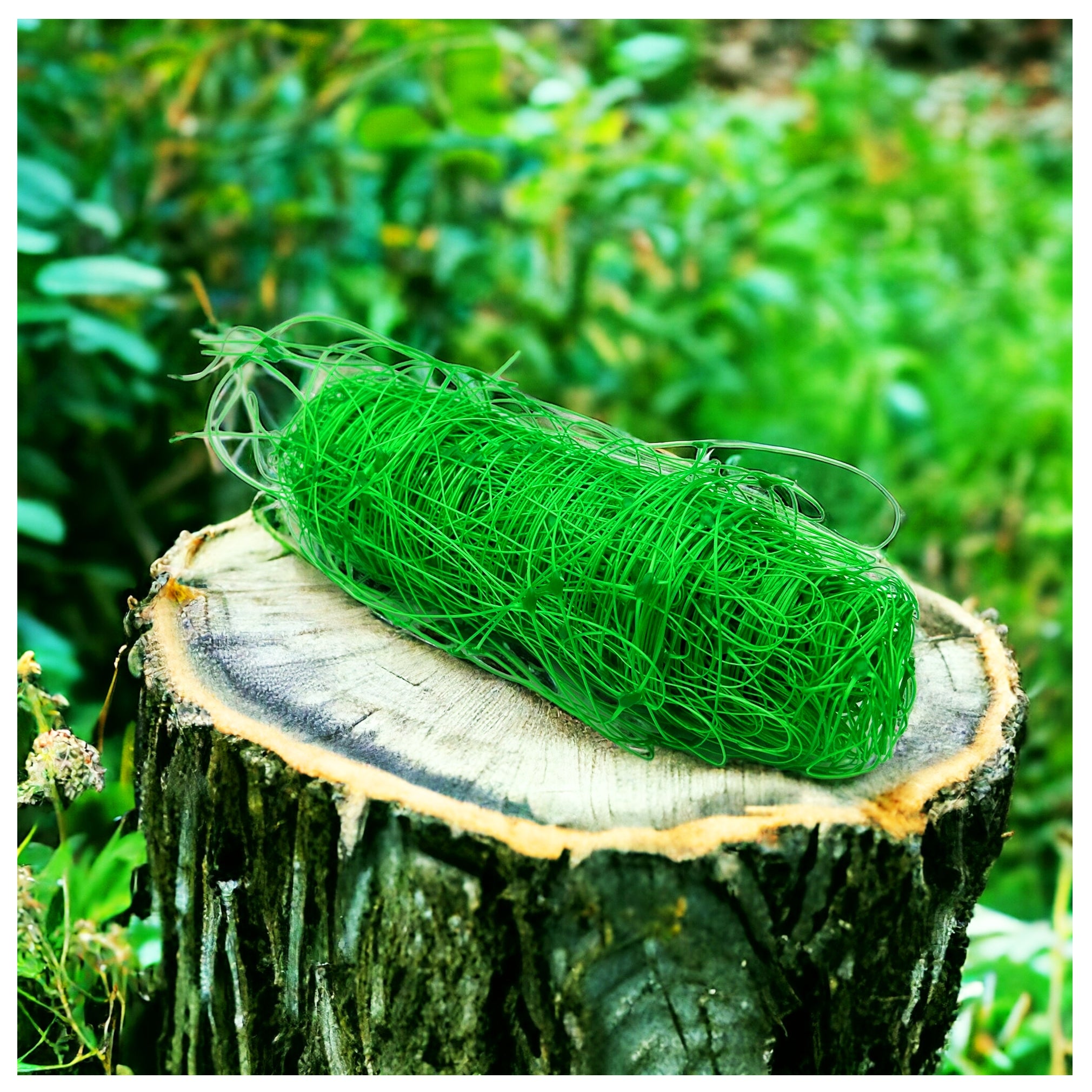 Net Vegetable support climbing plants 2x5m 15x15cm 8g/m2 Length 5 m