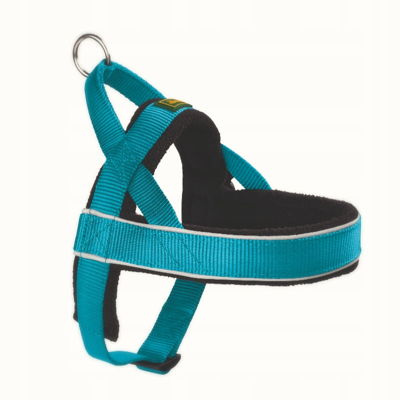 Norwegian Racing turquoise Hunter M dog harness