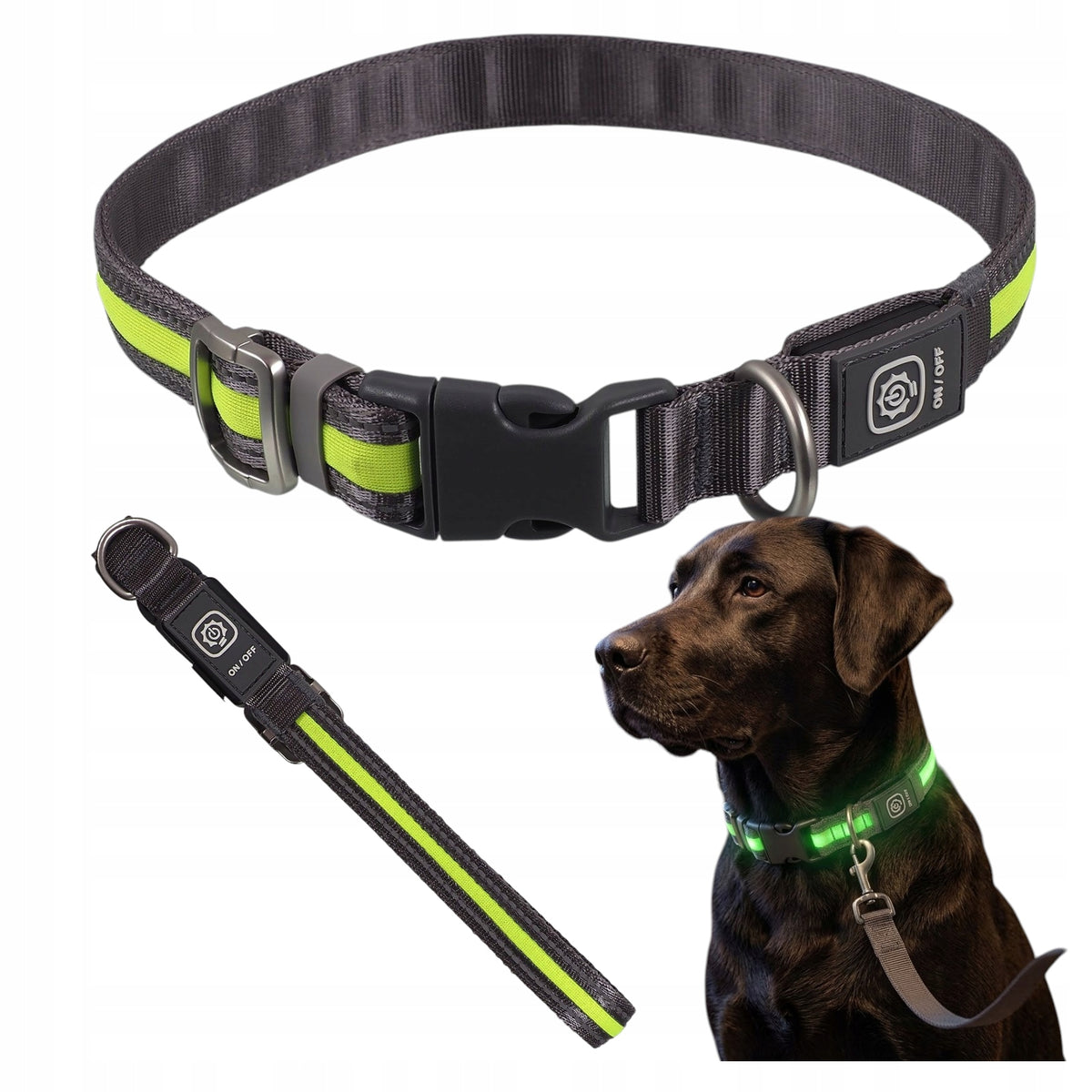 Nylon Solid LED Backlit Collar for Dog S/M 35-50cm 19mm GREEN