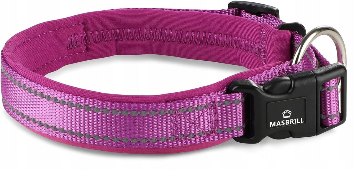 Nylon collar size. L PURPLE Masbrill