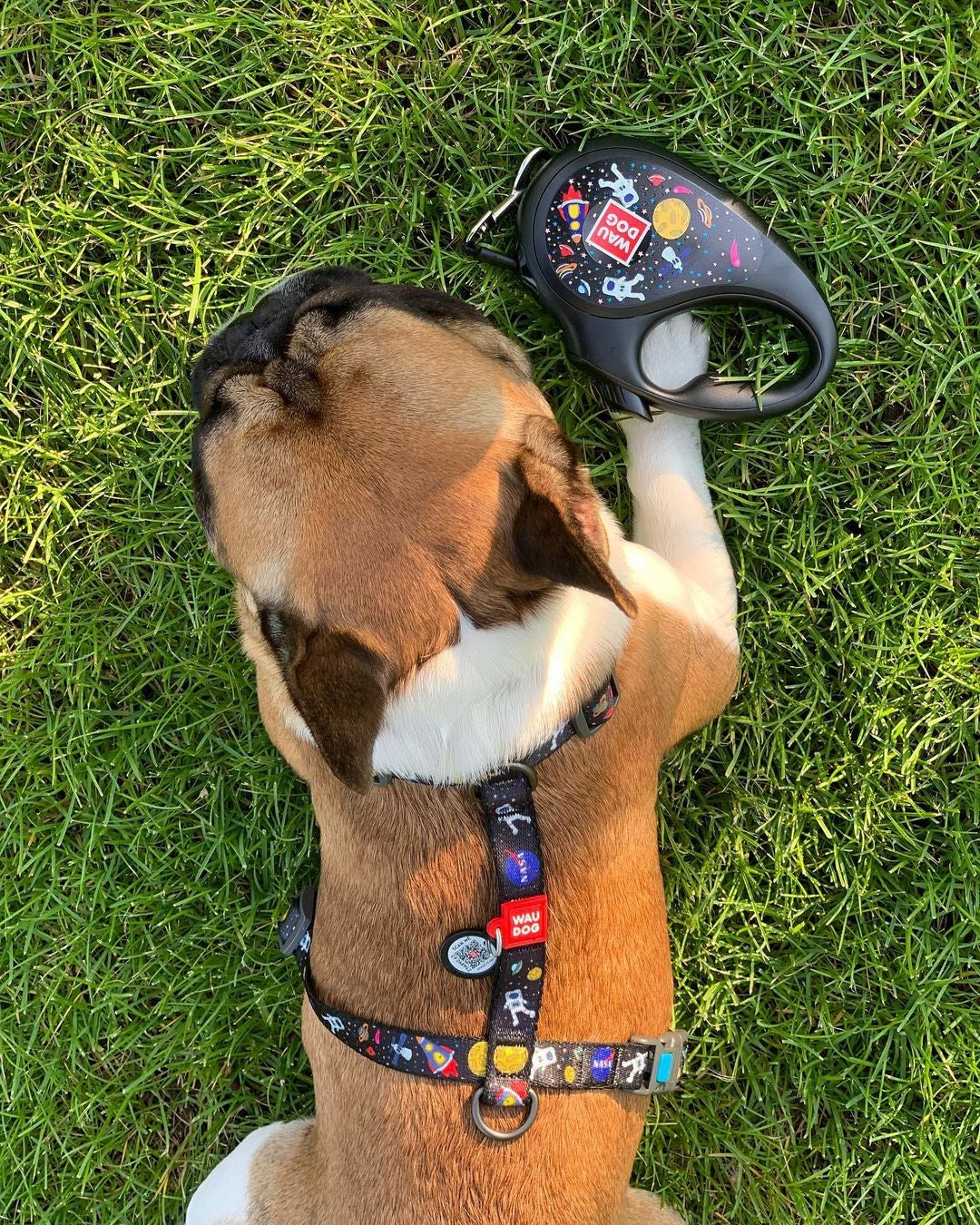 Nylon dog harness, anatomical, adjustable, with QR code, NASA, r. L Color multicolor
