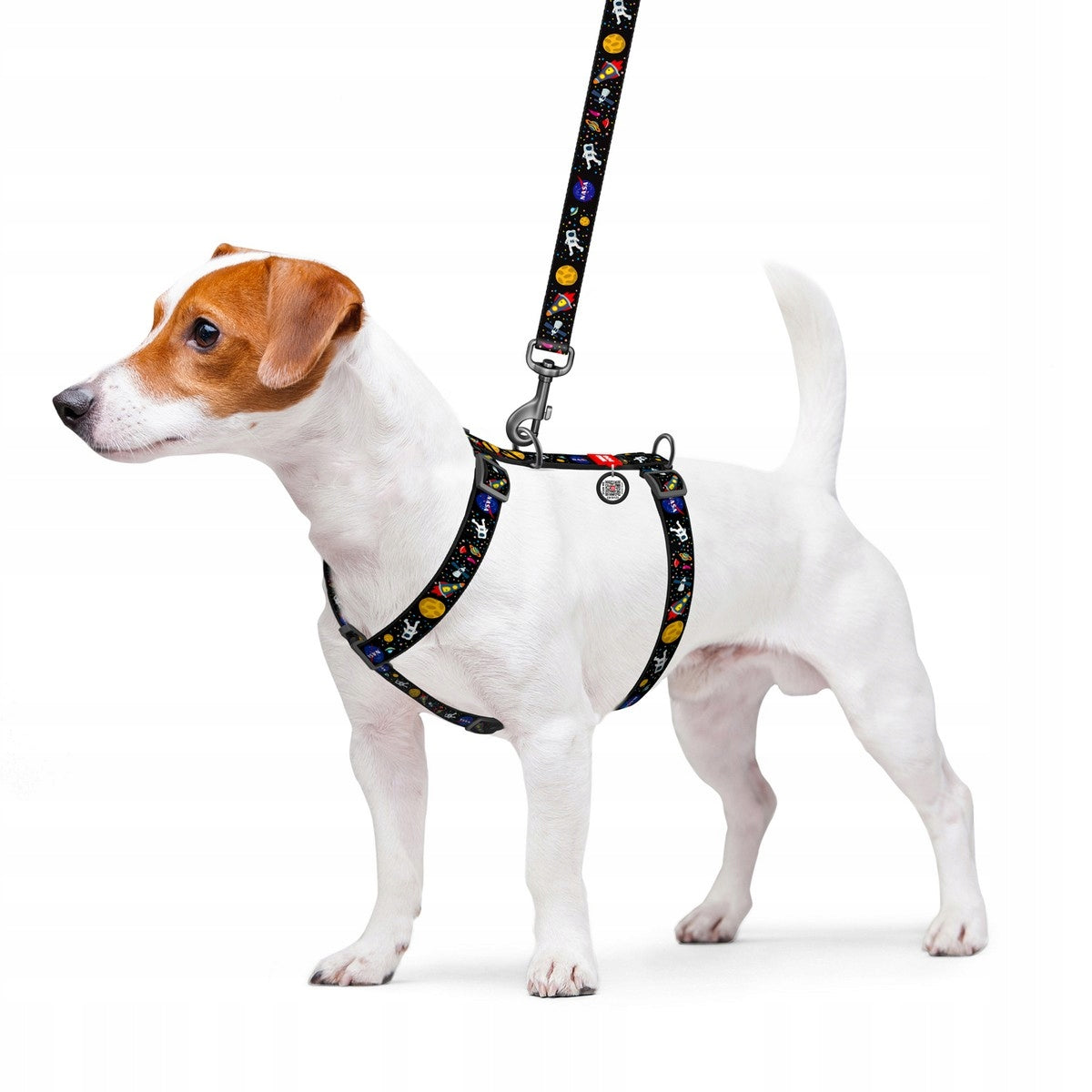 Nylon dog harness, anatomical, adjustable, with QR code, NASA, r. L Kind walking harness