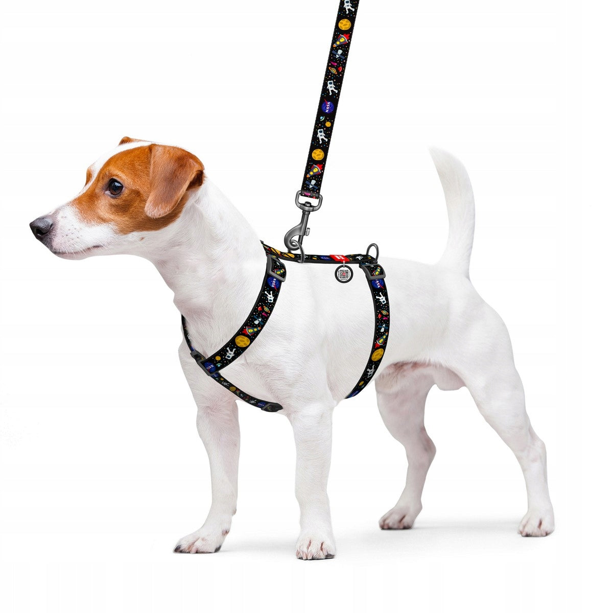 Nylon dog harness, anatomical, adjustable, with QR code, NASA, r. L Manufacturer code 5543