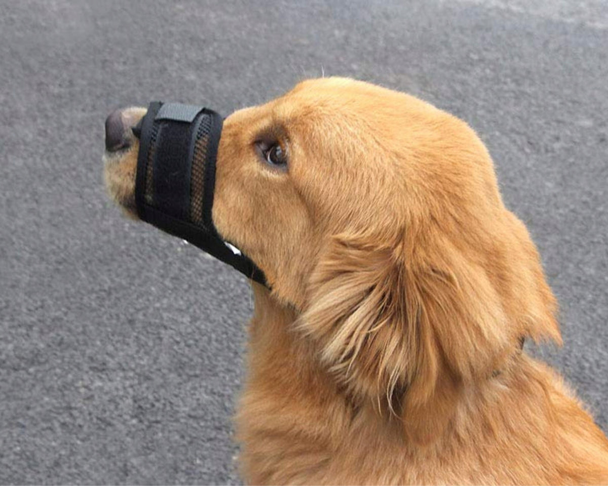 Nylon muzzle for dog XL black mesh Dingo Manufacturer code 16775