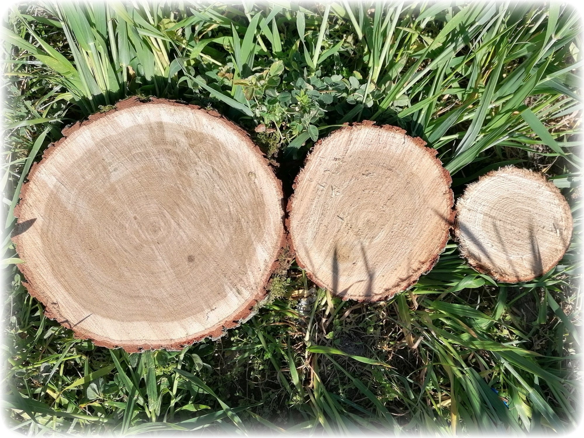 OAK patch for pavement garden path diameter 30 cm Manufacturer code PL30