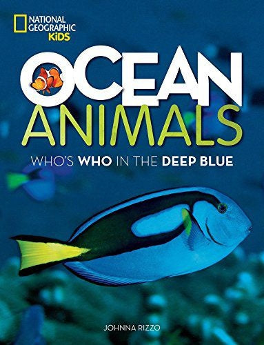 Meerestiere: Who is Who im tiefen Blau 