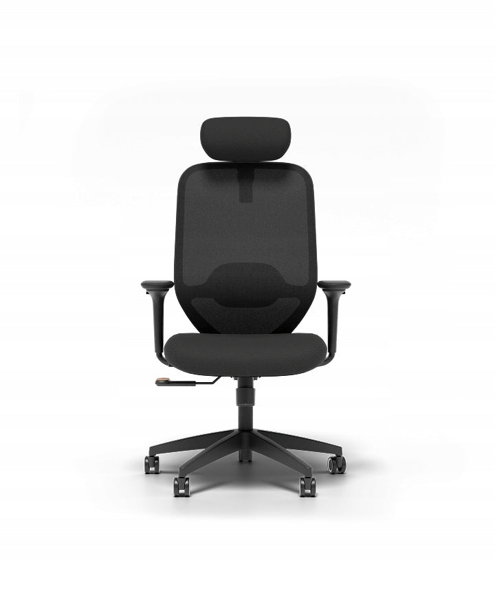 OFFICE CHAIR FLEXISPOT C5 ERGONOMIC BLACK HEADREST ARMRESTS 4D