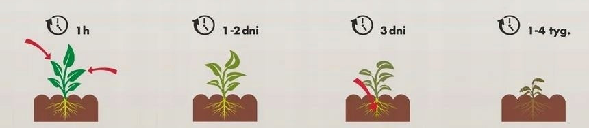OLD 250ml TARGET LAWN FOR WEEDS GRASS DANDELION HORSETAIL CLOVER GRANDMOTHER Agent type multicomponent