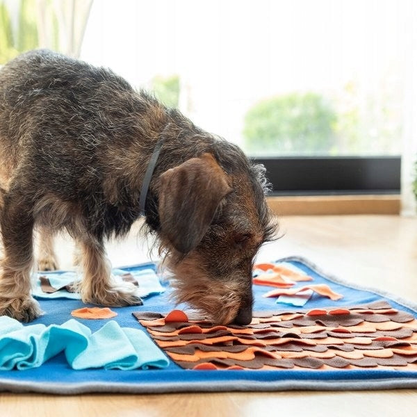 OLFACTORY MAT Foopark for Dog Cat Taste Toy Slower Food Brand no brand