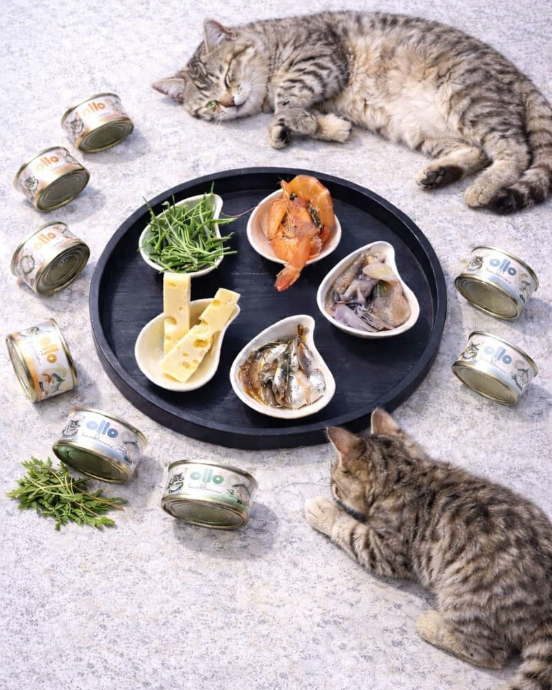 OLLO Cat No. 3 - Tuna and Chicken with Shrimp (can) 70g Brand Ollo