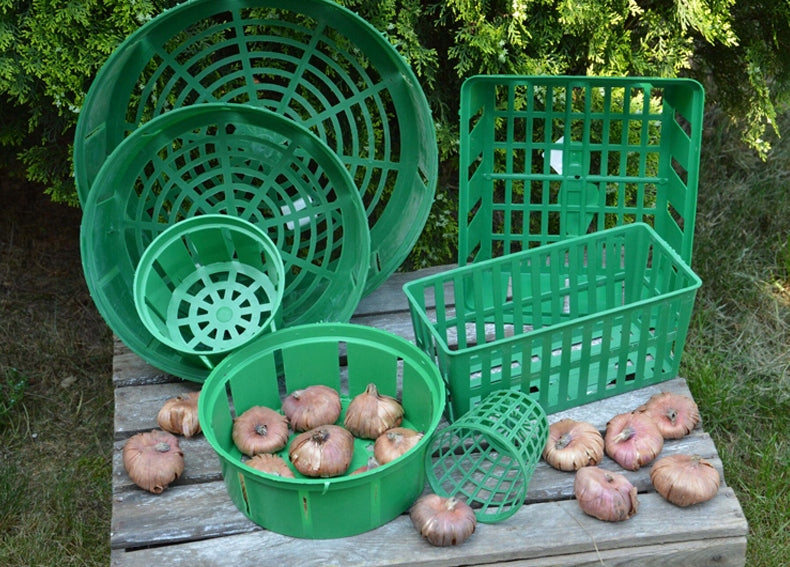 ONION COVER BASKET bulbs 10 x 23 cm 10 pcs EAN (GTIN) 5903292666181