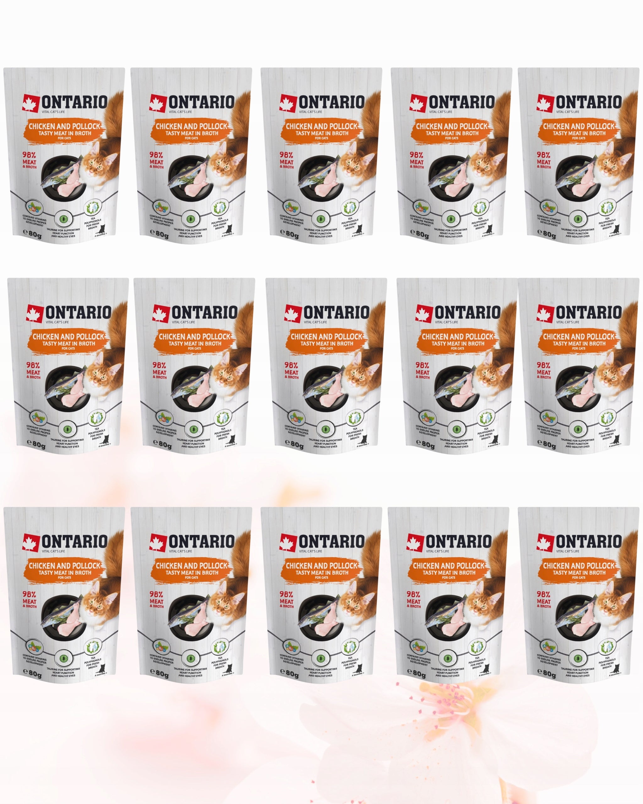 ONTARIO Cat food wet sachets 15pcs x 80g CHICKEN MINTAJ IN BROTH