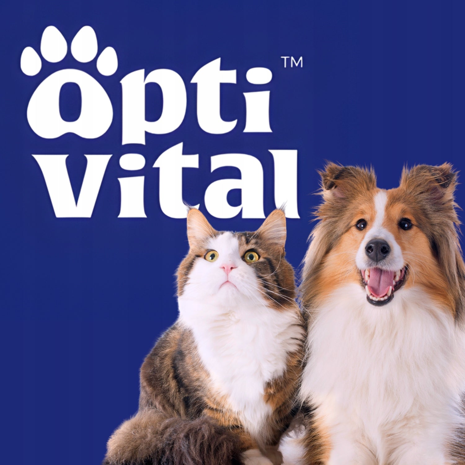 OPTIVITAL Complete Cat Food with Chicken 300g x2 Brand Optivital