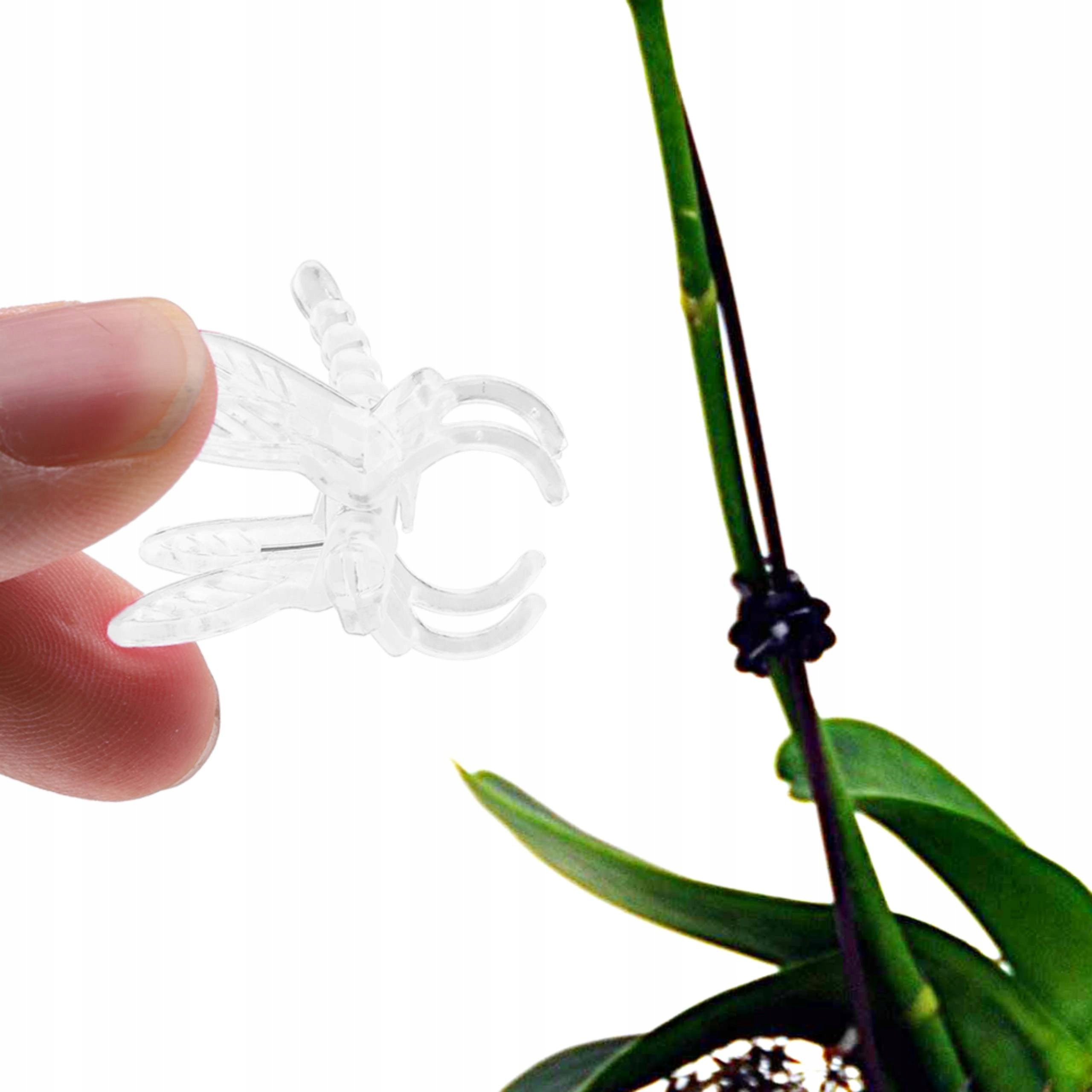 ORCHID CLIP CLEAR ORCHID CLIP SET 100x CLIPS