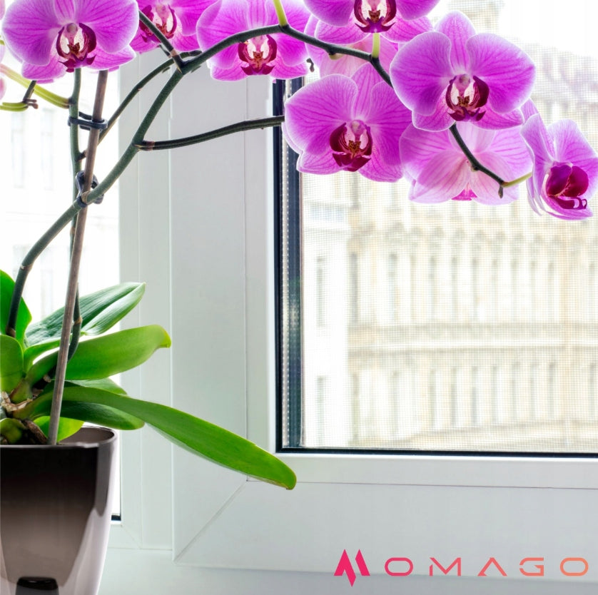 ORCHID CLIPS, PLANT FLOWERS, CLAMPS, CLIPS, set of 4, TRANSPARENT Brand OMAGO