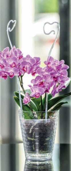 ORCHID pot cover DIAMOND diameter 12,7CM TRANSPARENT Form-plastic Manufacturer code 3790