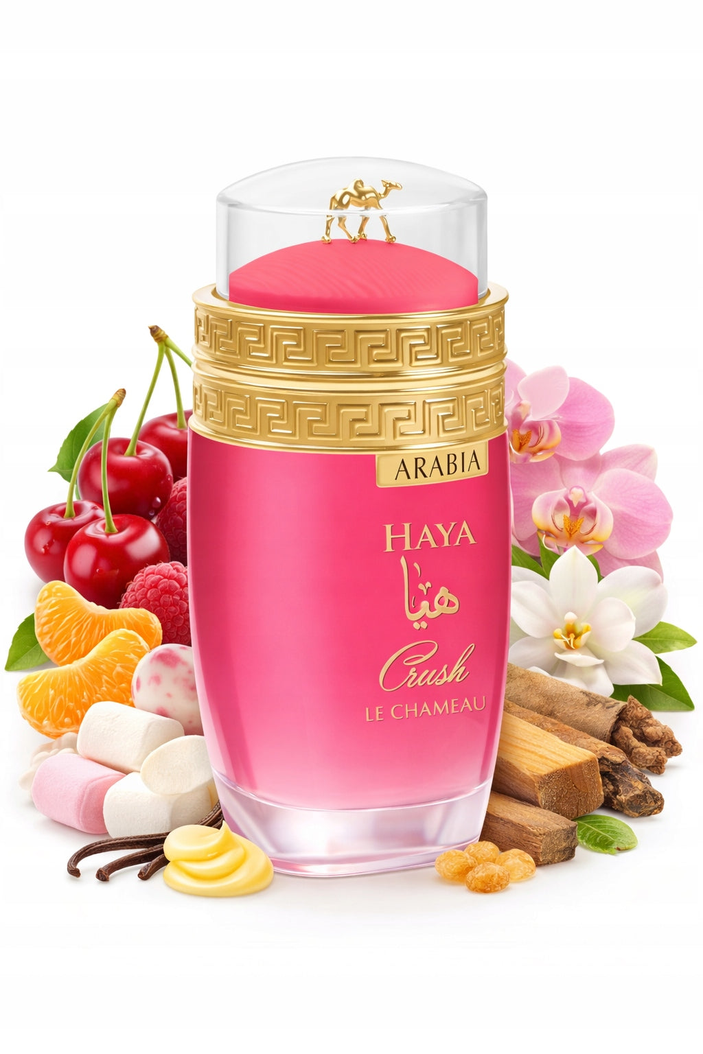 ORIGINAL Arabic Le Chameau Arabia HAYA CRUSH 2in1 Gift Set Packaging status original
