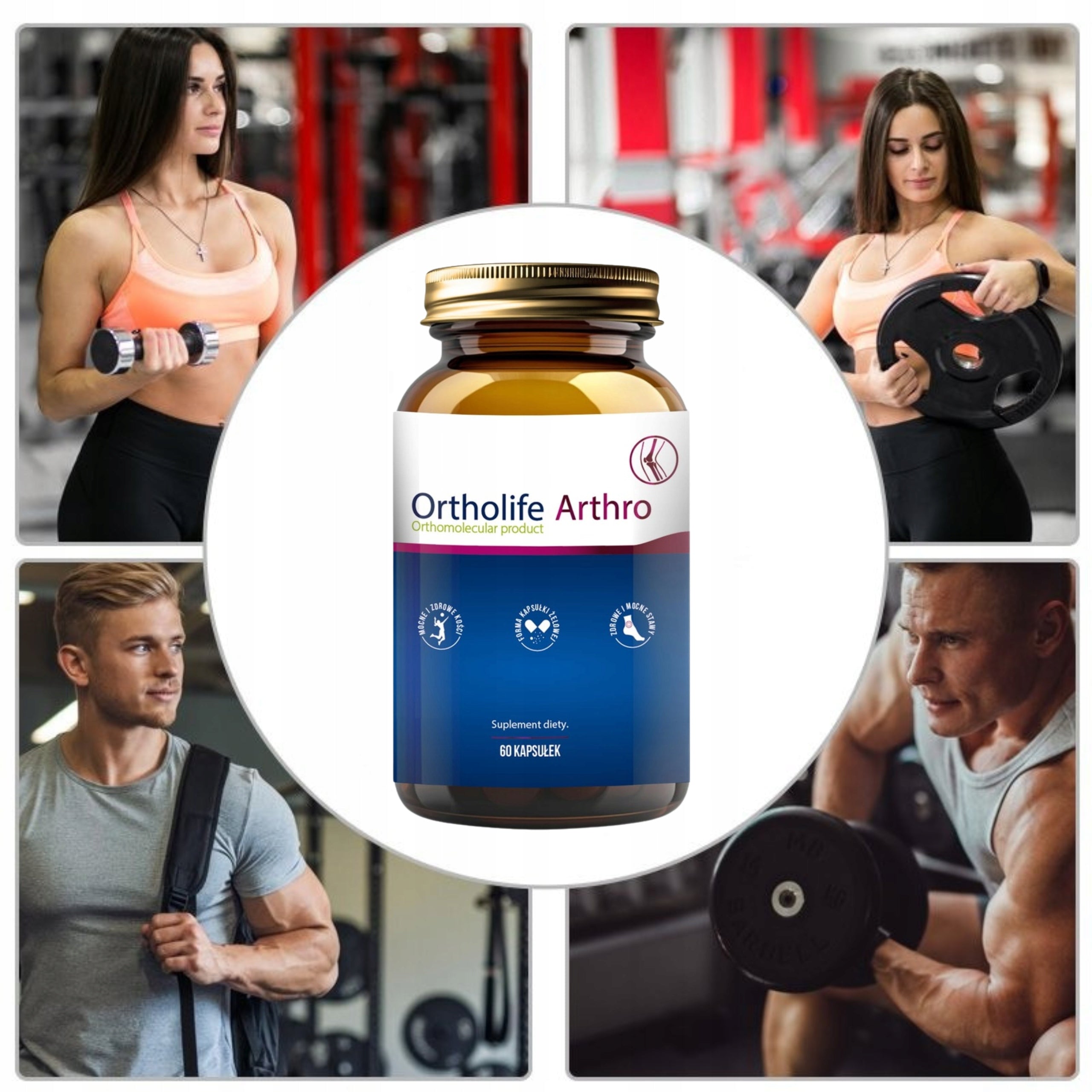 ORTHOLIFE ARTHRO FOR JOINTS 60 CAPSULES COLLAGEN HYDROLYZATE Brand Noblepharma