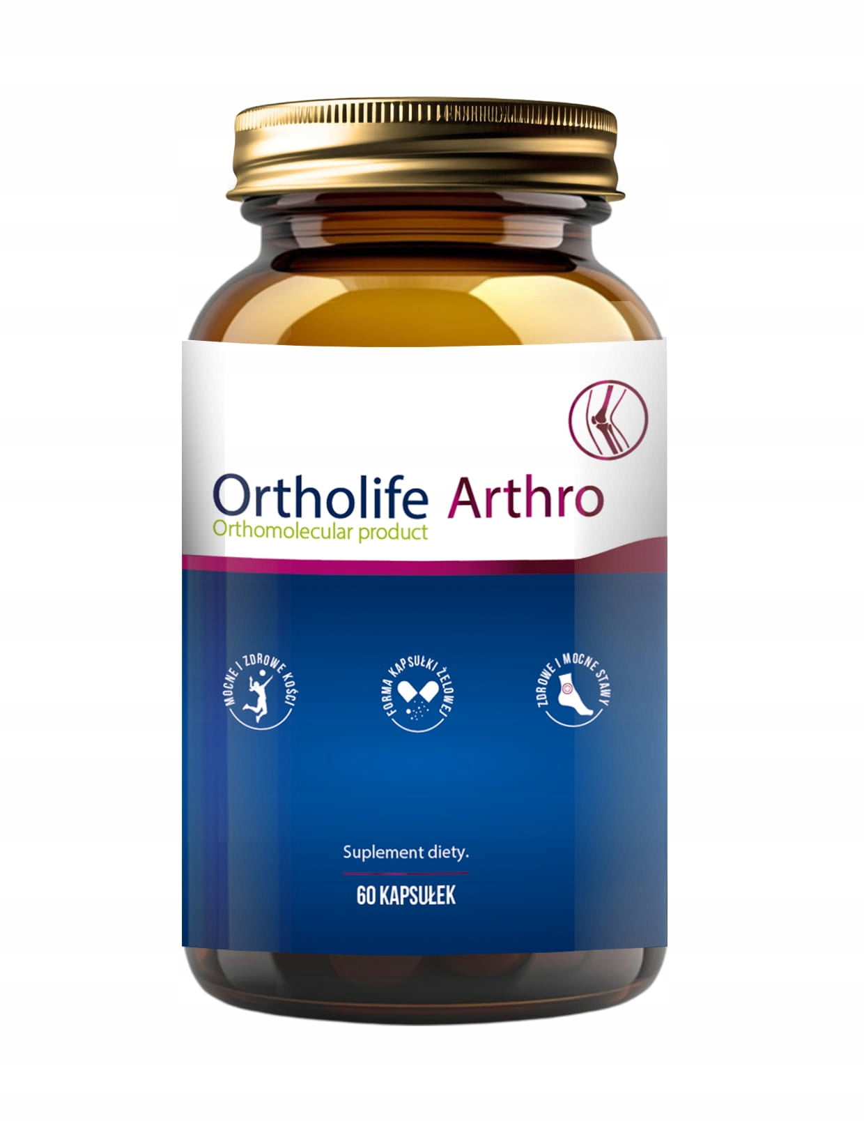 ORTHOLIFE ARTHRO FOR JOINTS 60 CAPSULES COLLAGEN HYDROLYZATE Manufacturer code ortholife brain 60 kapsułek