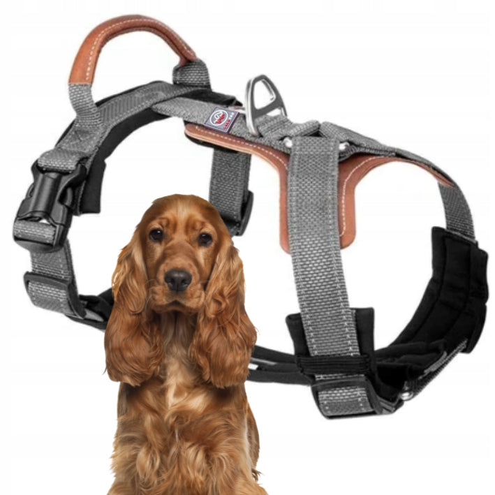 OSLO guard dog harness STRONG solid PREMIUM Lalazoo gray L