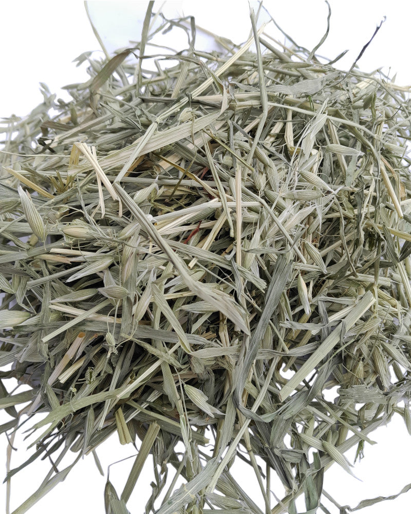 Oat herb - for rodents, animals, rabbits; 100g