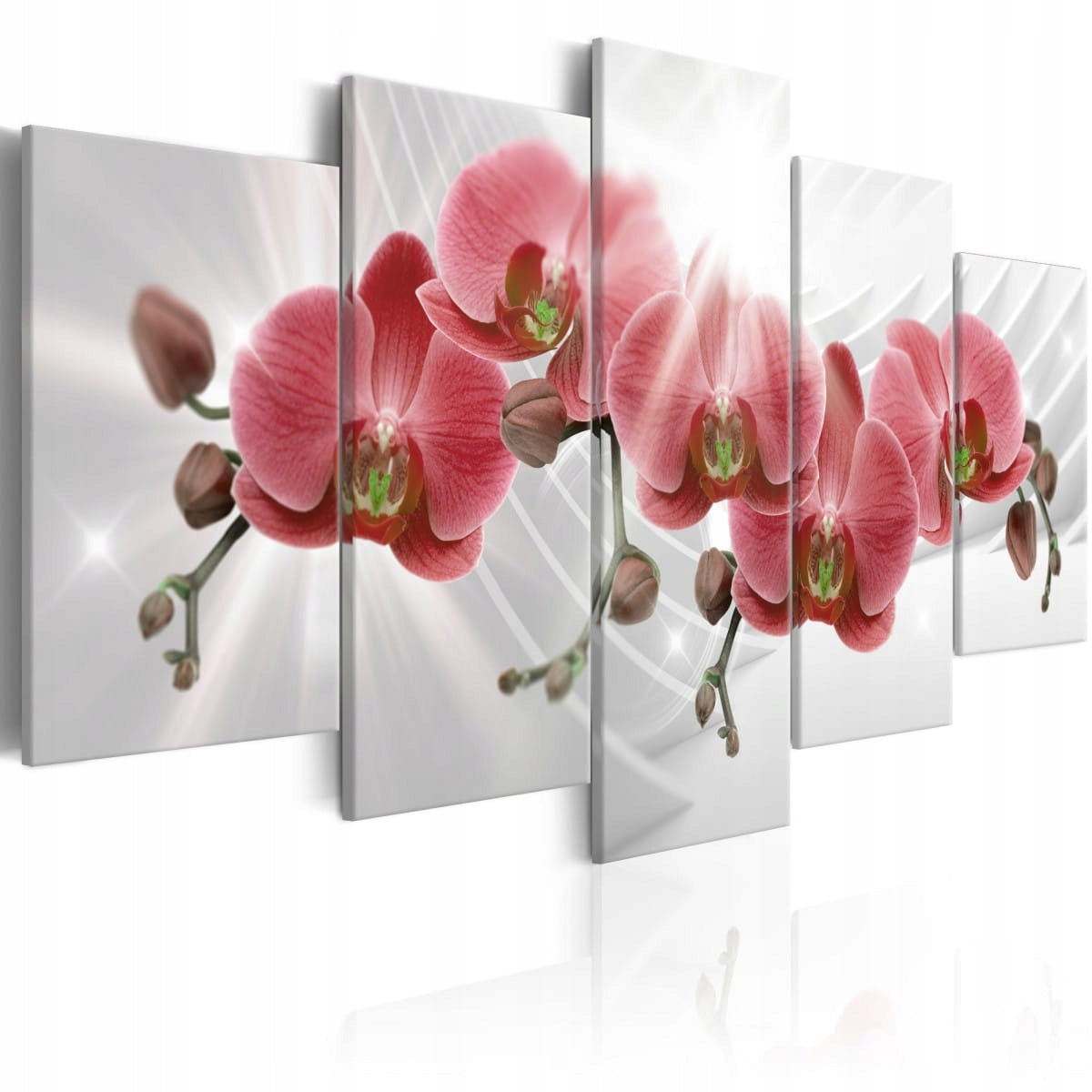 Bild - Abstrakter Garten: Rote Orchidee 