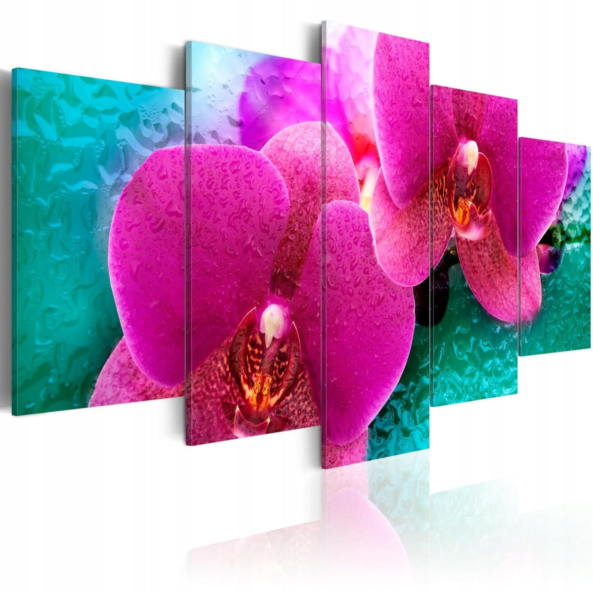 Bild - Exotische Orchideen 