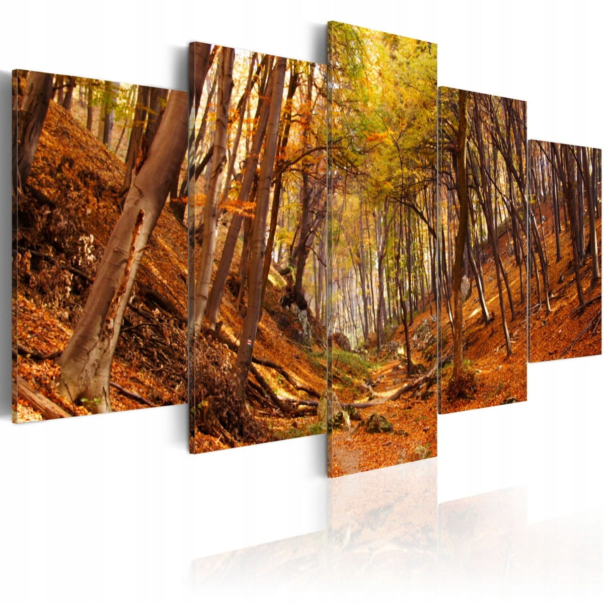 Bild - Orange Herbst 