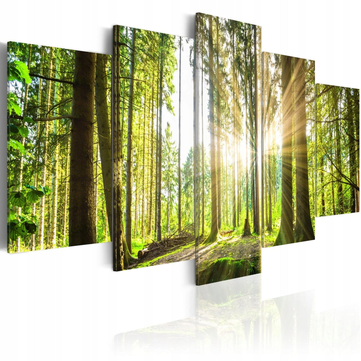 Bild - Forest Kingdom 