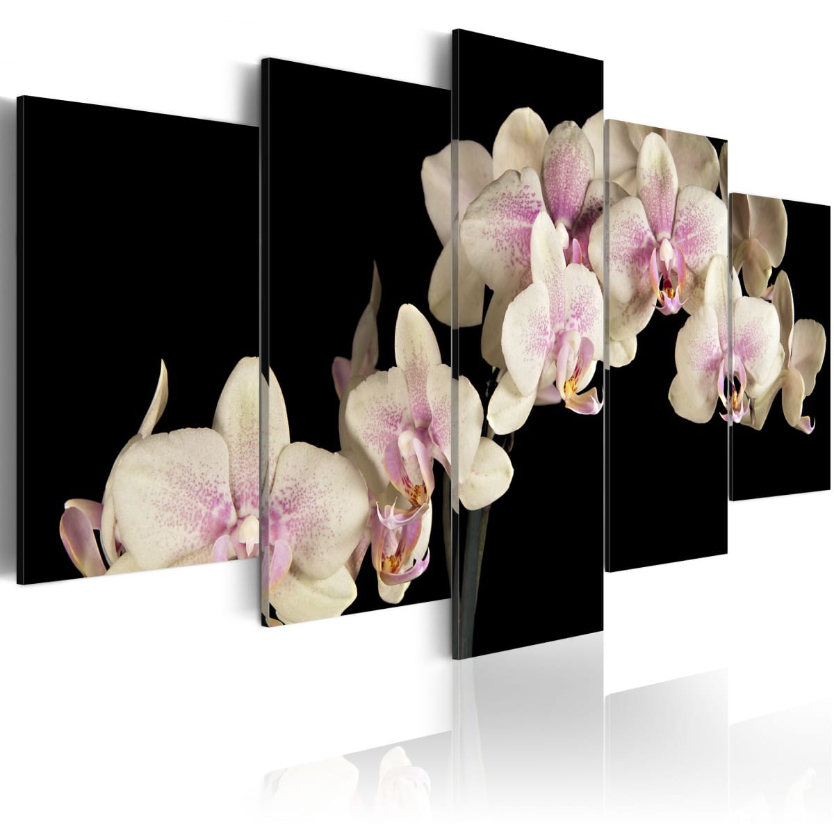 Gemälde - Eine Orchidee auf kontrastierendem Hintergrund 