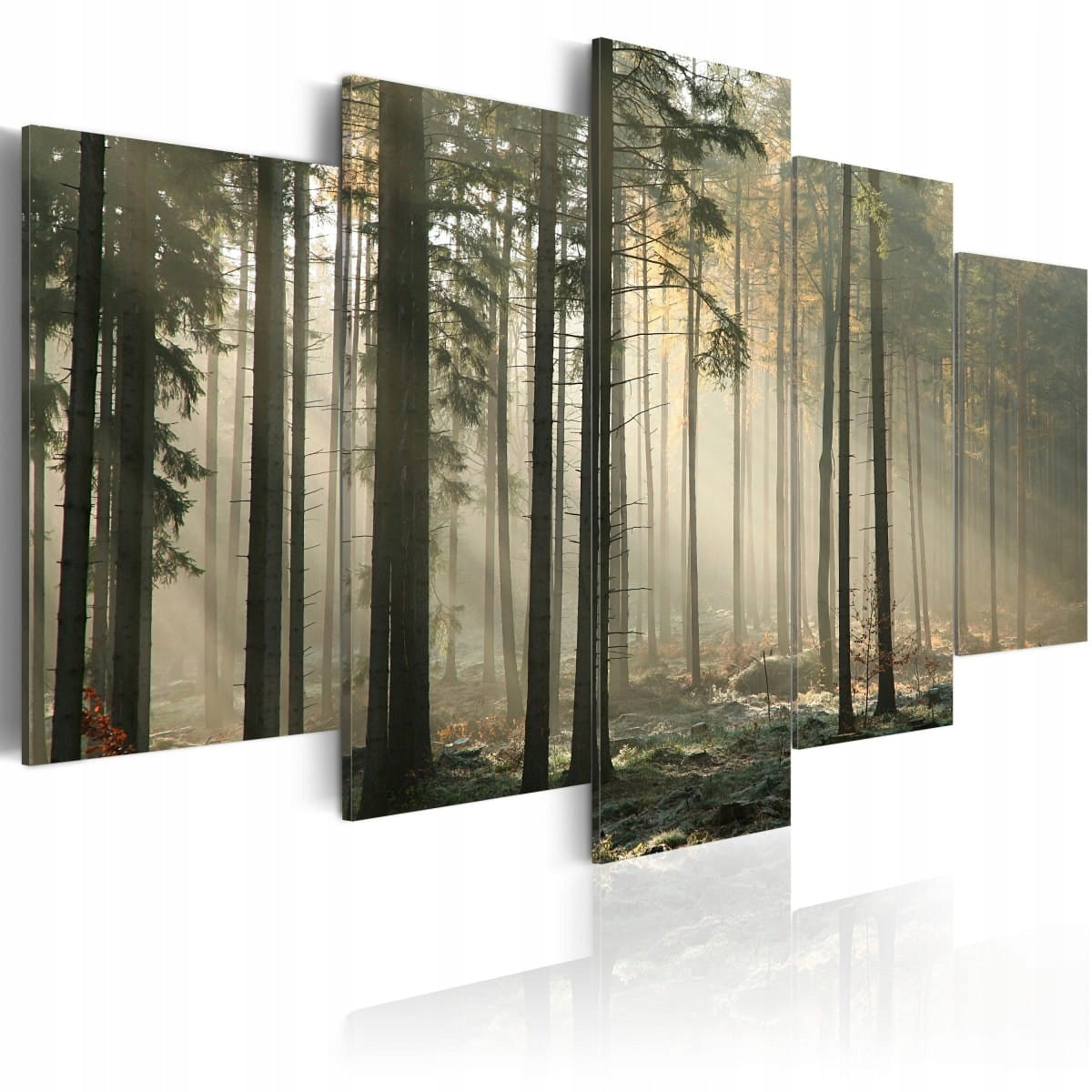 Bild - Licht in einem dunklen Wald 