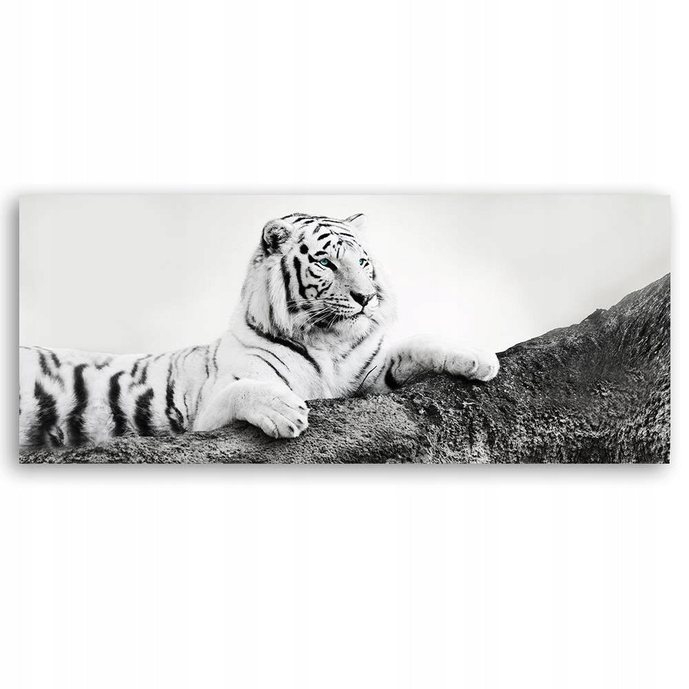 Reproduktion des wachsamen Tigers 