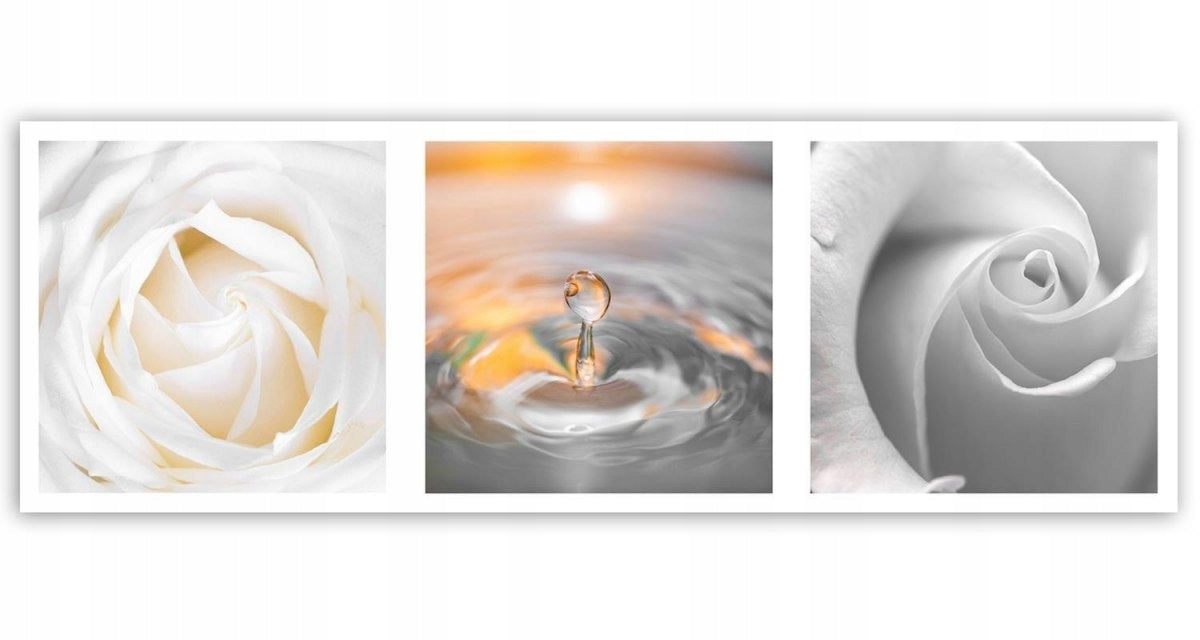 Reproduktionsblumen und Tropfen 