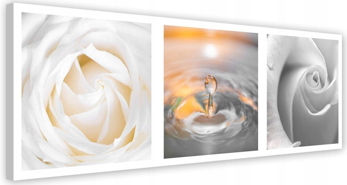 Reproduktionsblumen und Tropfen 