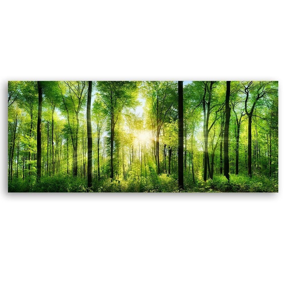 Reproduktion Sonnenstrahlen im Wald 