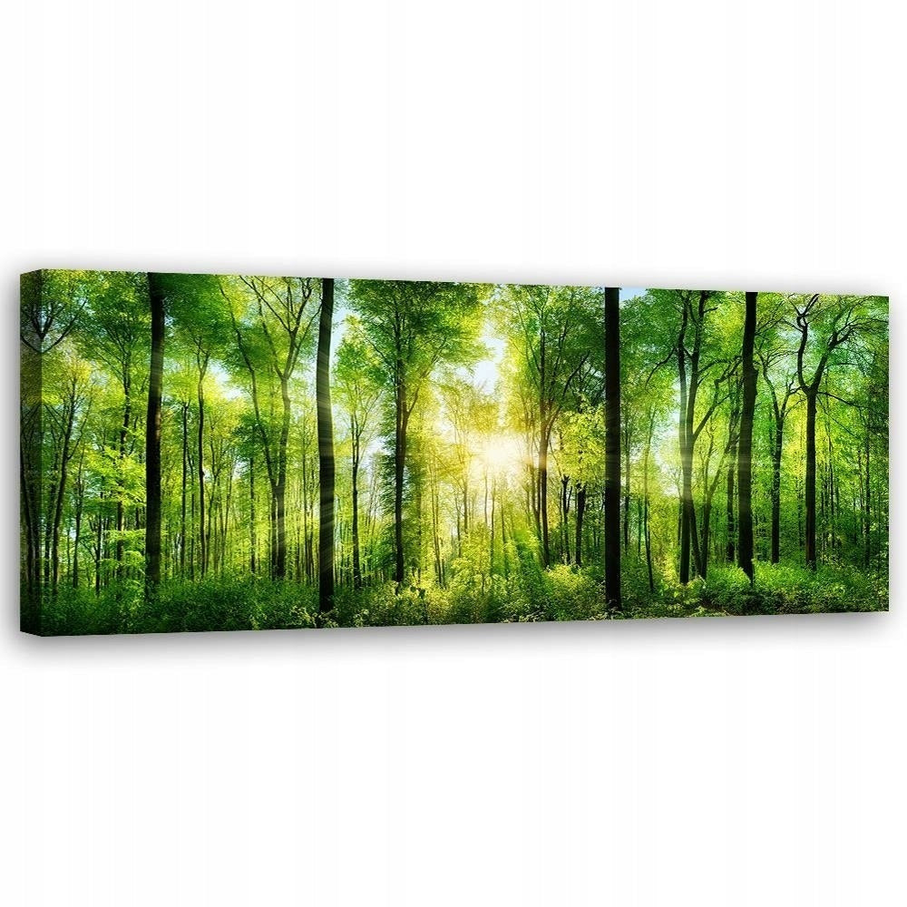 Reproduktion Sonnenstrahlen im Wald 