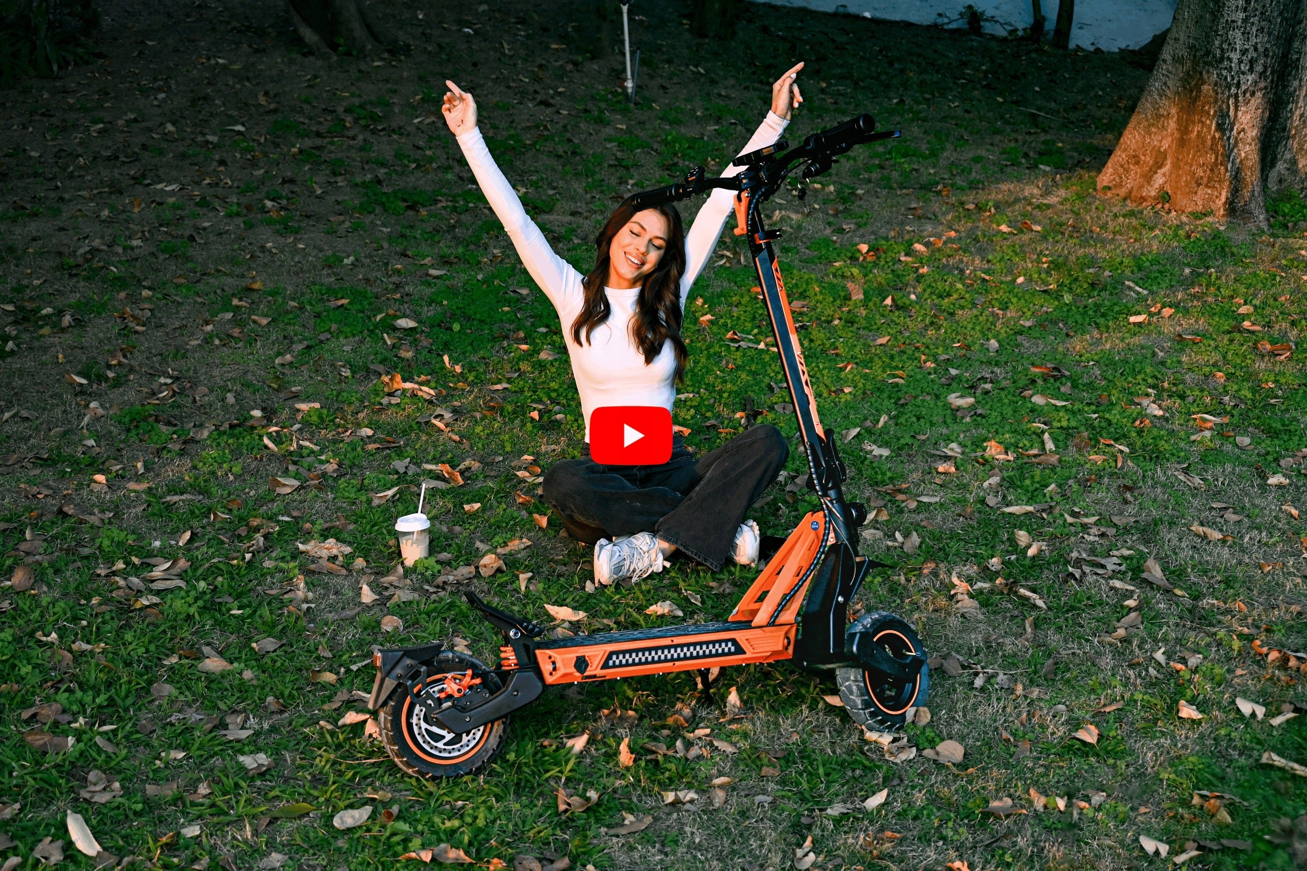Off-road Electric Vehicle 1200W 48V 15.6Ah 50km/h 50km TOFUN E3 Pro 10" Foldability partially assembled, calibrated