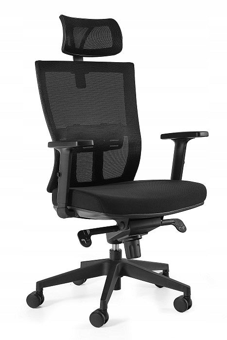 Office chair Link black house office design