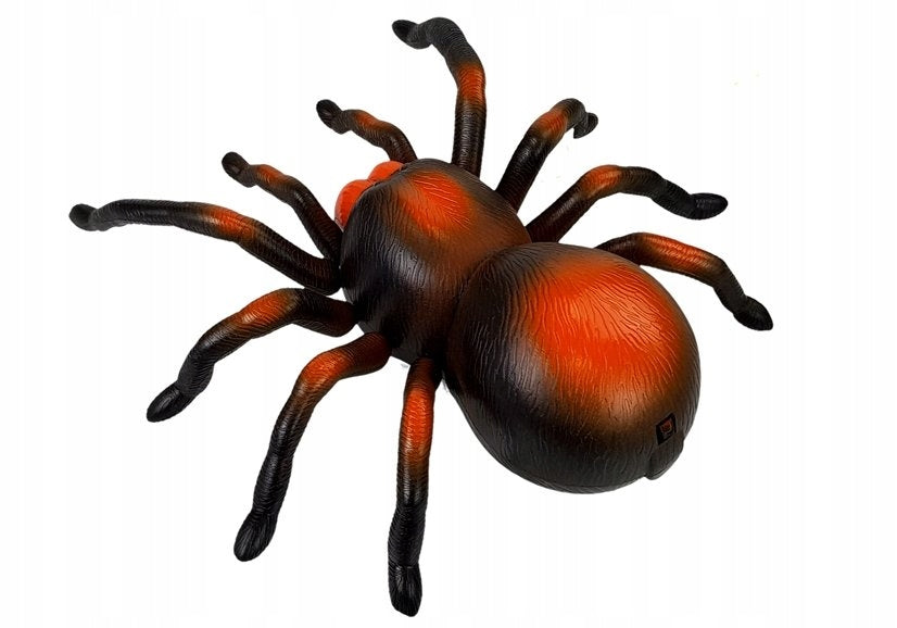 Spinne mit ferngesteuerter Vogelspinne 