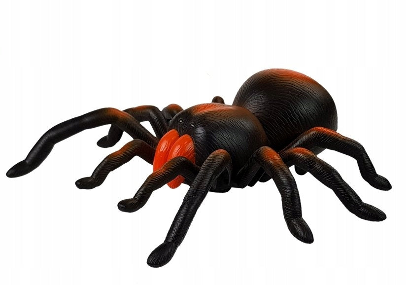 Spinne mit ferngesteuerter Vogelspinne 