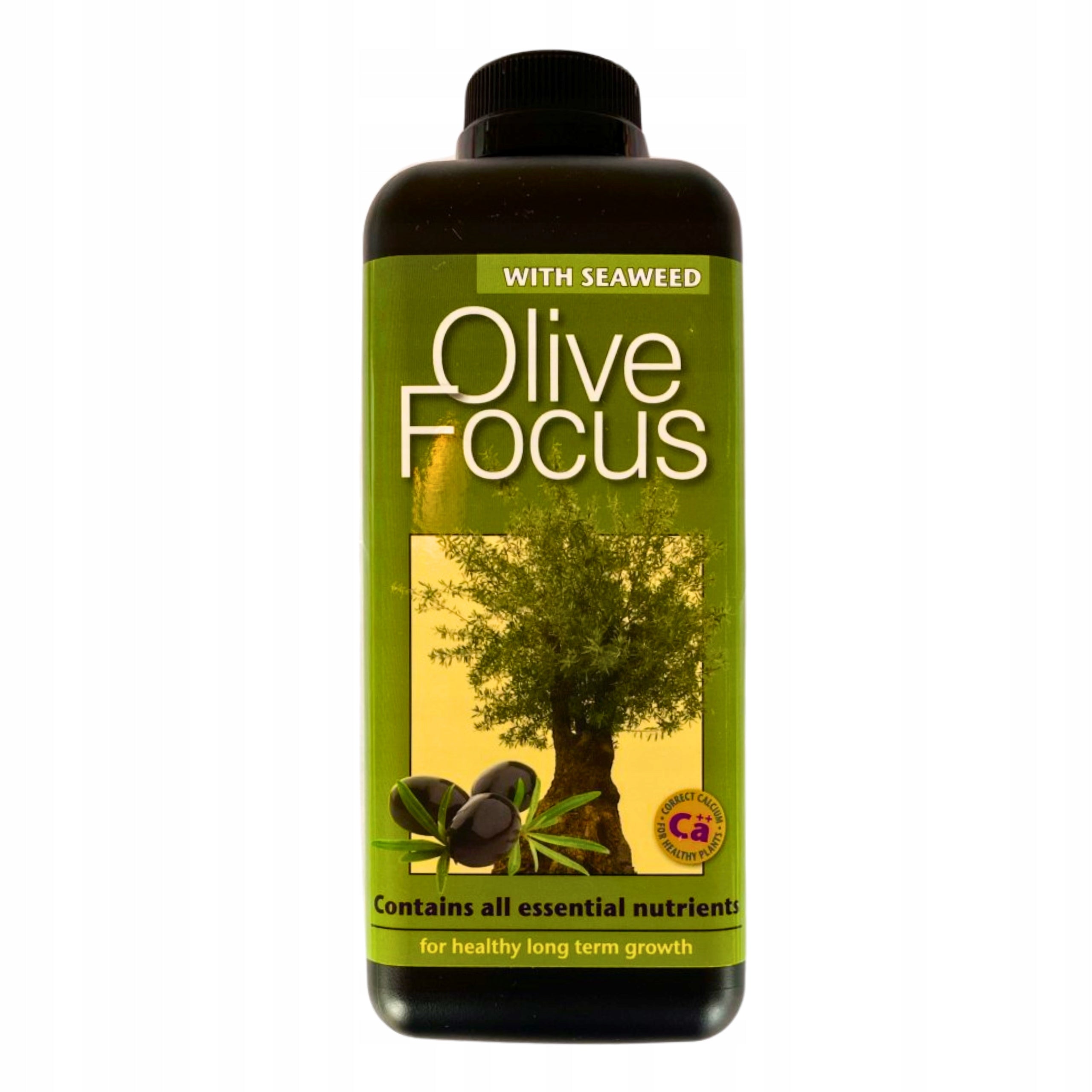 Olive Focus 1L FERTILIZER OLIVE TREE CONDITIONER Growth Technology Packaging status original