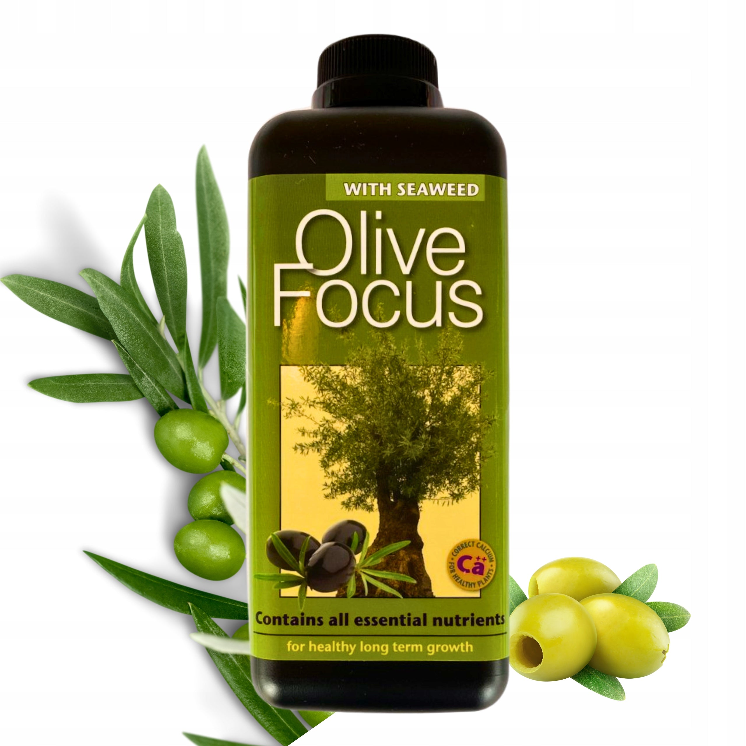 Olive Focus 1L FERTILIZER OLIVE TREE CONDITIONER Growth Technology