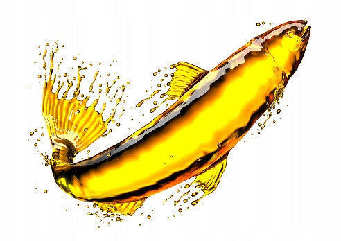 Omega-3 Curcumin Complex Form capsules