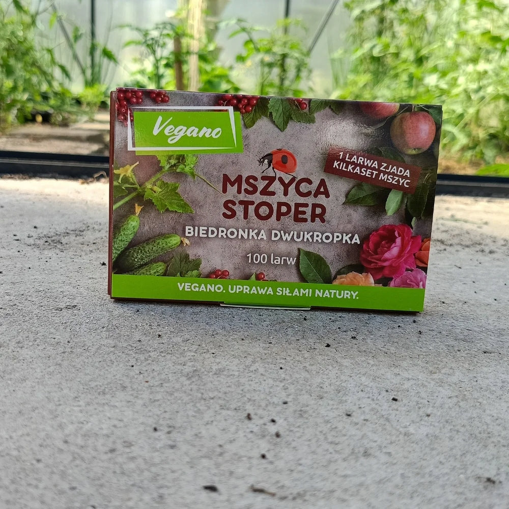 On aphids Aphid Stopwatch for roses ladybug larvae 200larvae Vegano Manufacturer Vegano