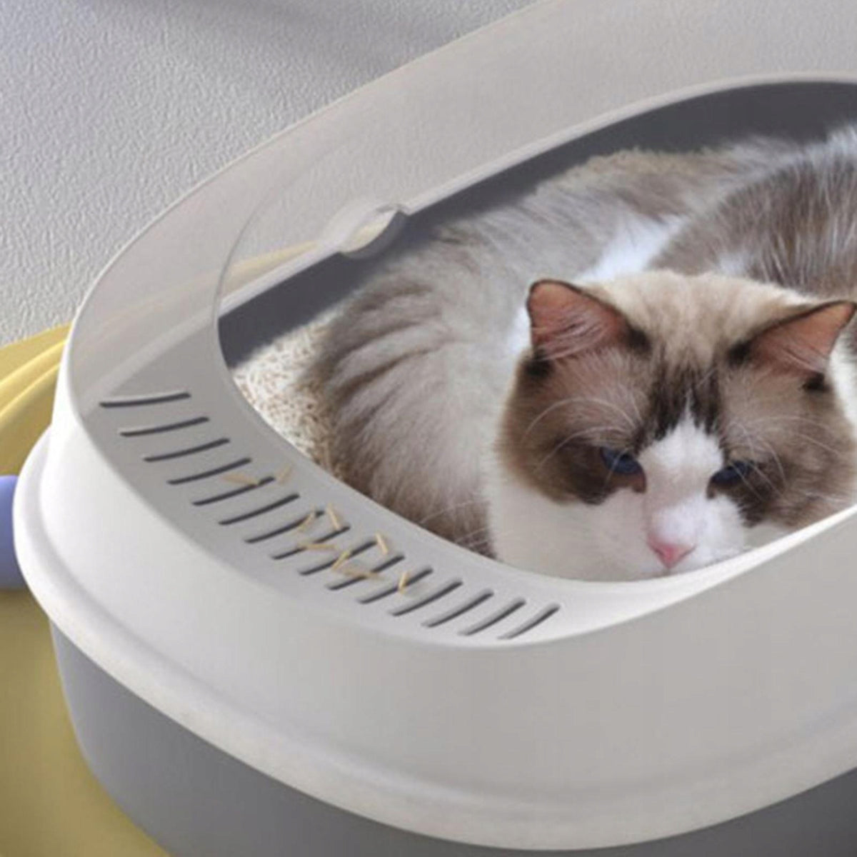 Open Litter Box Splashproof Cat Litter Container Semi 42 cmx29 cmx16 cm Packaging status original