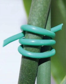 Orchard Plant Attachment Hose For Binding 3mm x 65mb Color green