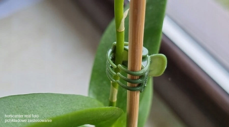 Orchid Clips 10pcs - Plant Attachment Clips for Support Pole Number of pieces 10 pcs