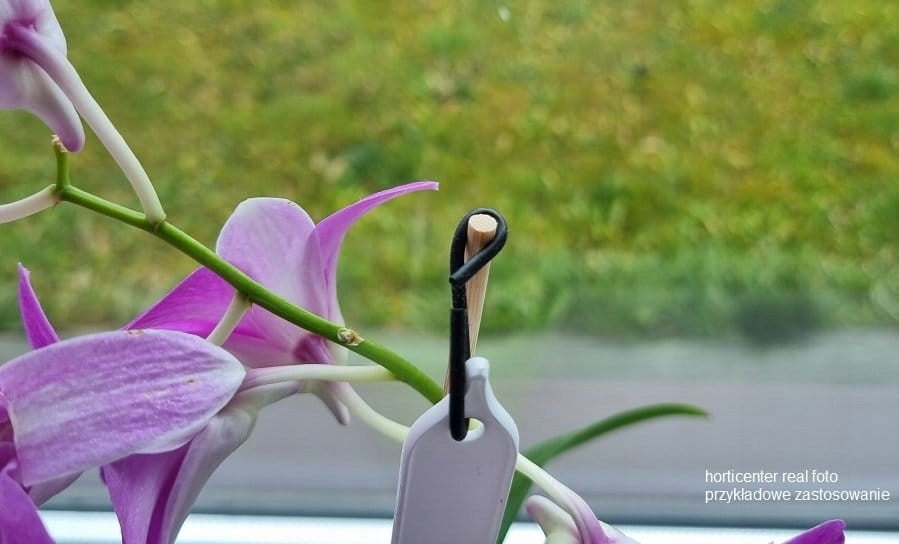 Orchid Hooks 7cm Black x 10pcs - Wire Flower Hooks Number of pieces 10 pcs